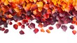 red autumn leaves on isolate white background 