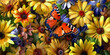 Butterfly resting amongst the Dahlias - a bed of vibrant yellow flower heads and a lone butterfly with open wings background with copy space for spiritual message
