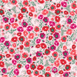 Blooming meadow in summer seamless pattern. Plant background for fashion, wallpaper, print. There are many different colors on the field. Liberty style flowers. Trendy floral vector design