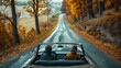 © Khoirul - Young couple going on vacation trip using old classic cabriolet car on asphalt road during autumn warm light afternoon.