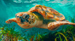 Underwater illustration of a loggerhead sea turtle with moss on its shell 