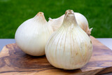 Fototapeta Kuchnia - White sweet doux french salad onions vegetables on food market close up
