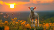 Cute lamb grazing in green meadow