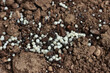© saratm - Close-up of white granular fertilizer on a agricultural field on springtime