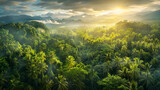 Fototapeta Natura - panoramic view of the tropical jungle, tropical forest scenery, tropical green landscape