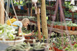 Woman take picture of flowers and cactus in pots for sale at outdoor market.