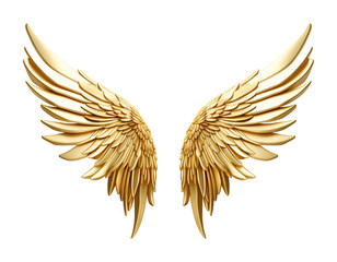 Wall Mural - Golden Wings Isolated on Transparent Background
