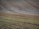 Fototapeta Perspektywa 3d - Ackerbau im Frühjahr