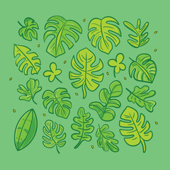 Wall Mural - Monstera leaves pattern illustration vector design