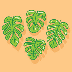 Wall Mural - Monstera leaves pattern illustration vector design