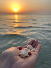 Wall Mural - Tender seashells on the hand, sea sunset background, warm colors, cute small seashells