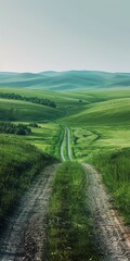 Canvas Print - b'Countryside dirt road through green rolling hills'