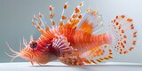 Fototapeta  - b'A red and white lionfish with its fins spread out'