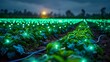 Glowing green orbs float above a potato smart farm field at night