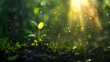 A small sapling sprang up in the middle of the fantasy forest, sunlight shone down with tiny light particles.