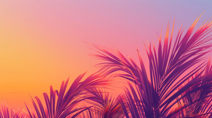  Palm leaves silhouette against a summer sunset gradient sky