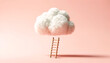 A fluffy white cloud made from cotton or a similar material, suspended in a soft pink background