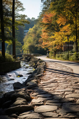 Wall Mural - river in the forest.