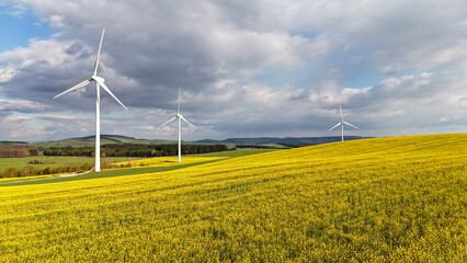 Wall Mural - Colza et éoliennes