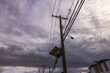 Close-up view of high-voltage power lines running on wooden poles alongside a street in New Jersey. USA.