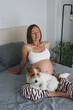 Adorable scene of furry jack russell terrier on pregnant woman's lap. Close up, copy space, background.