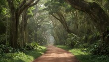 A Jungle Road Lined With Ancient Trees And Lush Fo Upscaled 4