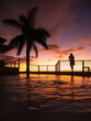 Un coucher de soleil avec un palmier et une piscine en avant plan