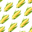 Fresh sweet corn seamless  pattern. Hand drawn watercolor illustration, isolated on white background