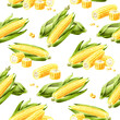 Fresh sweet corn seamless pattern, Hand drawn watercolor illustration, isolated  on white background