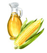 Glass bottle with corn oil and Fresh sweetcorn cob. Hand drawn watercolor illustration isolated on white background