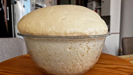 Leavened and risen dough in a glass bowl. Fermented dough