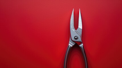 Poster - Pair of scissors on bright red background. Perfect for office or crafting themes