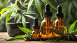 product photography of CBD droppers with marijuana leaves around, cannobinoil, alternative medicine