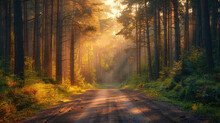 Sunrise In The Forest, Dirt Road Leading To Heaven, Golden Light. Created With Ai