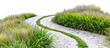 © SRITE KHATUN - Zigzag pathway lined with alternating species of ornamental grasses, each adding a unique rhythm to the landscape, isolated on transparent background