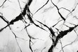   A monochrome image of a marbled surface displaying intricate crisscross cracks, with a notable concentration in the photo's center