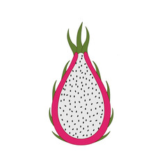 Dragon fruit half. Tropical fruit icon. Vector illustration.