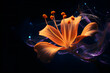 Detailed close-up of a vibrant flower set against a dark black background.
