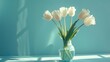 White tulips in a glass vase on a blue background