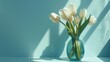 White tulips in a blue glass vase on a light blue background with sunlight and shadows
