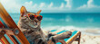 Cool cat in sunglasses resting in a sun lounger on the beach
