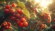   A tight shot of ripe berries clustered on a tree, sun's rays filtering through the foliage, berries remaining on the arboreal branches