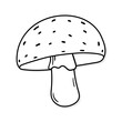 Mushroom vector icon in doodle style. Symbol in simple design. Cartoon object hand drawn isolated on white background.