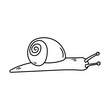 Snail vector icon in doodle style. Symbol in simple design. Cartoon object hand drawn isolated on white background.