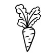 Carrot vector icon in doodle style. Symbol in simple design. Cartoon object hand drawn isolated on white background.