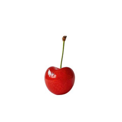 Wall Mural - A delicious cherry all by itself on a transparent background