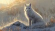 white arctic fox, wild winter predator