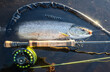 Sea trout trophy fish on fly rod