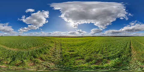Wall Mural - spherical 360 hdri panorama among green grass farming field with cirrus clouds on blue sky in equire