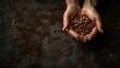 Closeup of hands delicately holding freshly roasted coffee beans